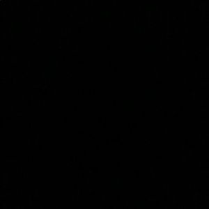 Meet your Posher, Ava